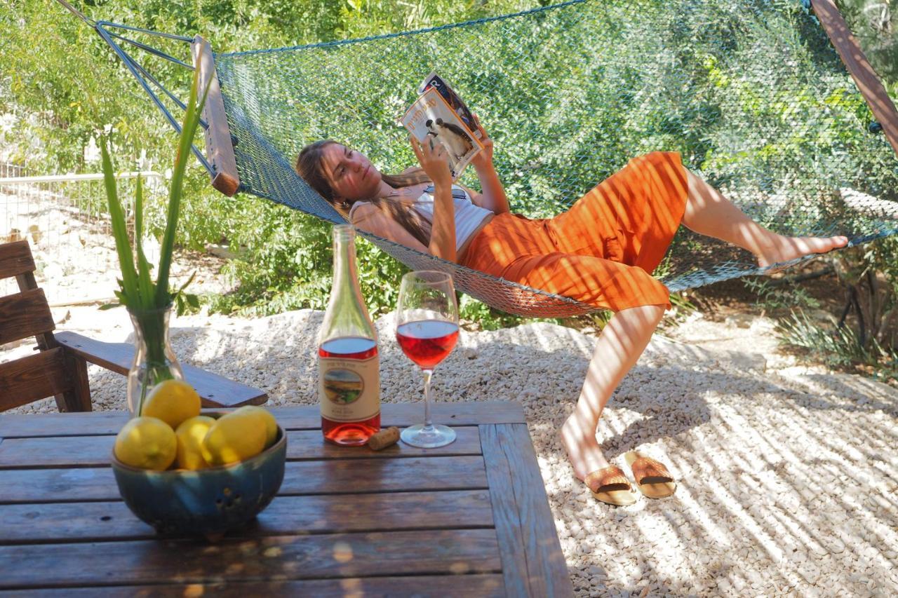 Carmey Avdat Farm Midreshet Ben Gurion エクステリア 写真