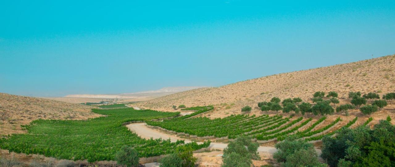 Carmey Avdat Farm Midreshet Ben Gurion エクステリア 写真