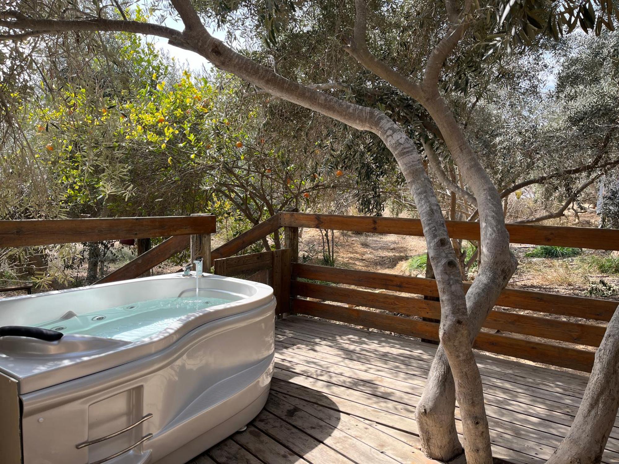 Carmey Avdat Farm Midreshet Ben Gurion エクステリア 写真