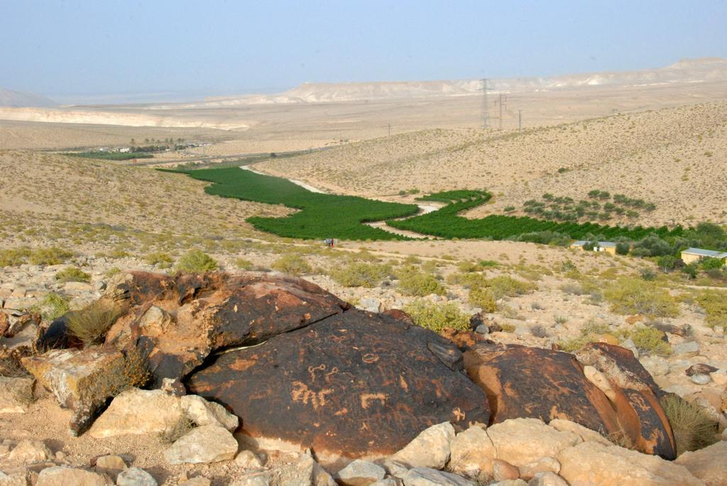 Carmey Avdat Farm Midreshet Ben Gurion エクステリア 写真