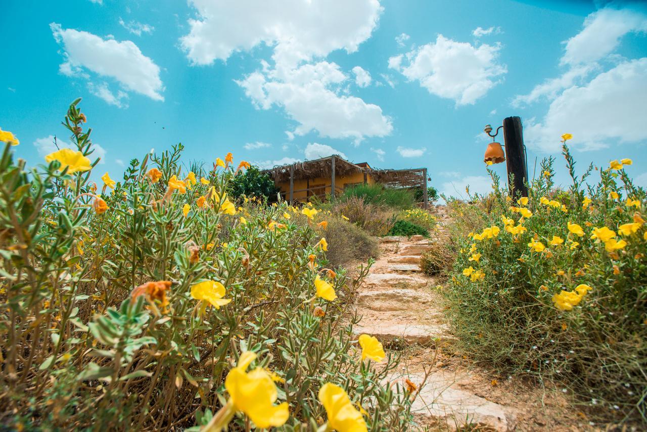 Carmey Avdat Farm Midreshet Ben Gurion エクステリア 写真
